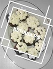 Кетокартошка Кетокартошка