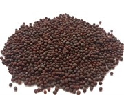 Мицуна (мизуна) красная семена для проращивания микрозелени и беби зелени, 100г